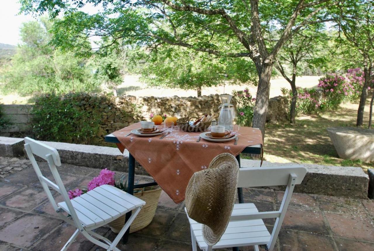 Finca La Vicaria Palomar Zufre Extérieur photo